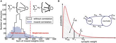 Cortical Dynamics in Presence of Assemblies of Densely Connected Weight-Hub Neurons